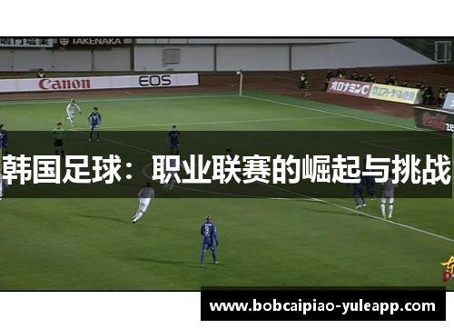 韩国足球：职业联赛的崛起与挑战