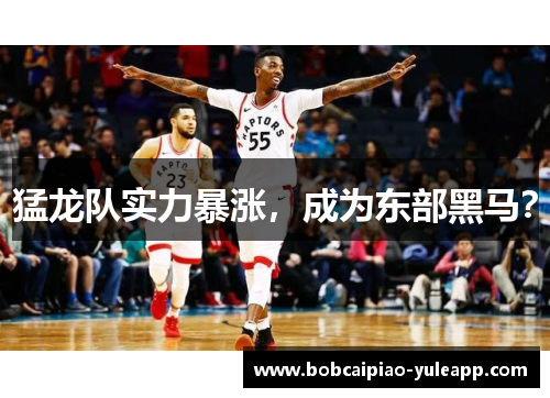 猛龙队实力暴涨，成为东部黑马？